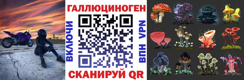 Галлюциногенные грибы MAGIC MUSHROOMS  Саяногорск 